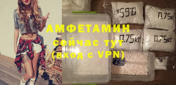 сатива Аркадак