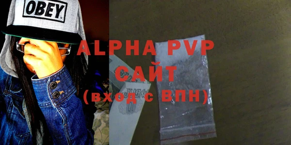сатива Аркадак