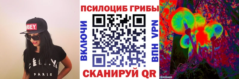 Псилоцибиновые грибы Psilocybine cubensis Барыш